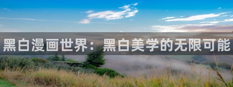 喵群漫画：黑白漫画世界：黑白美学的无限可能