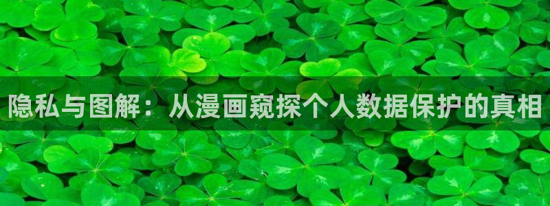 《喵趣漫画》正版下载：隐私与图解：从漫画窥探个人数据保护的真相