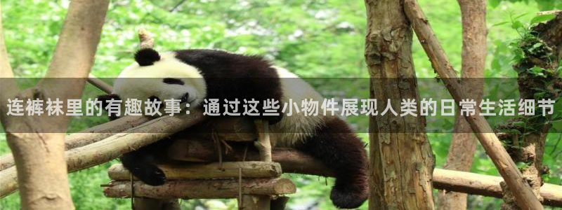 喵趣漫画下载免费阅读